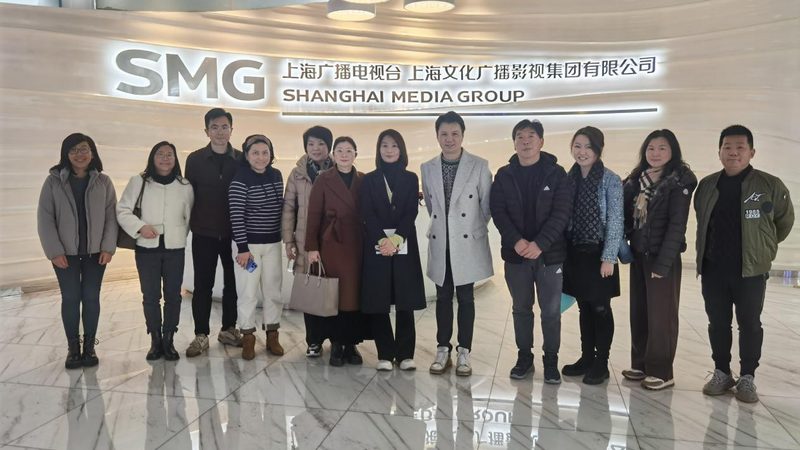 广州品牌设计公司案例解析：揭秘成功之道