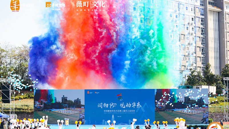 企业VI设计流程步骤解析：打造品牌形象的关键步骤